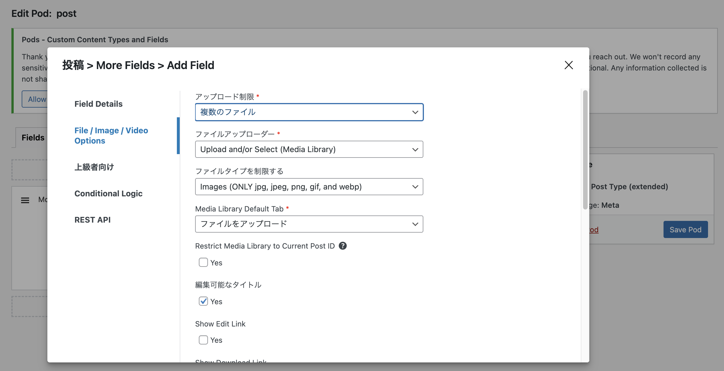 file/image/video optionsの設定画面2